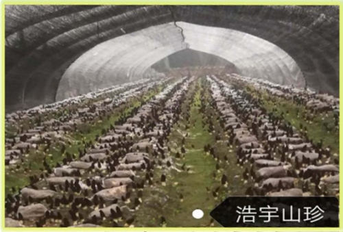 &#24320;&#20113;&#40;&#20013;&#22269;&#41;&#75;&#97;&#105;&#121;&#117;&#110;