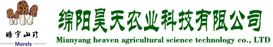 &#24320;&#20113;&#40;&#20013;&#22269;&#41;&#75;&#97;&#105;&#121;&#117;&#110;