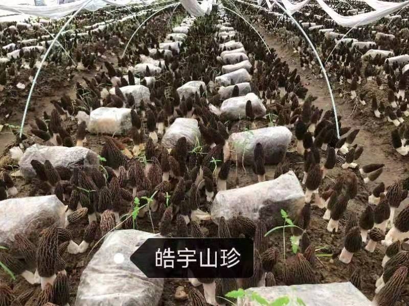 &#24320;&#20113;&#40;&#20013;&#22269;&#41;&#75;&#97;&#105;&#121;&#117;&#110;