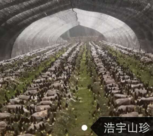 &#24320;&#20113;&#40;&#20013;&#22269;&#41;&#75;&#97;&#105;&#121;&#117;&#110;